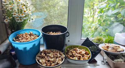 Прикрепленное изображение: IMG_20230526_174026.jpg